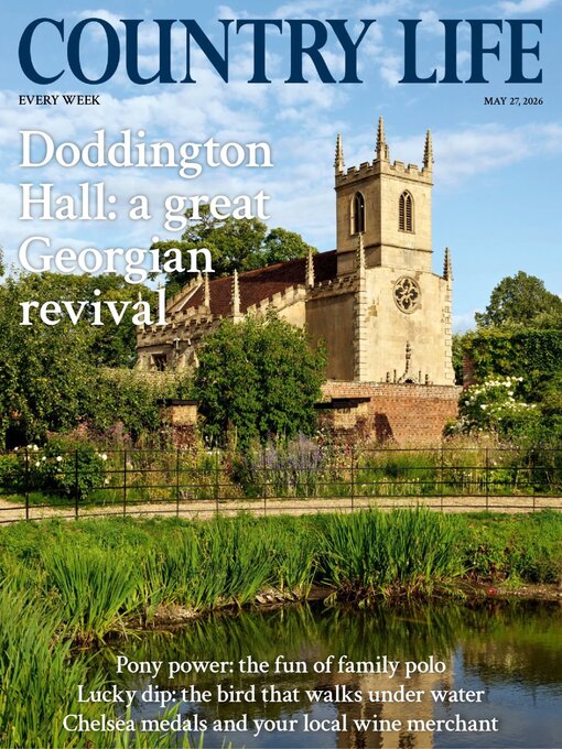 Cover image for Country Life
